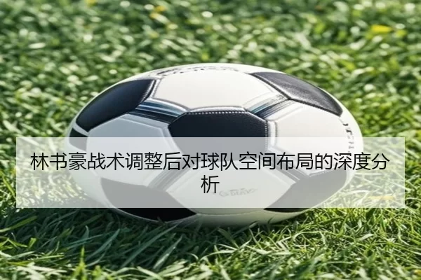 林书豪战术调整后对球队空间布局的深度分析