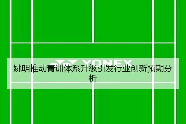 姚明推动青训体系升级引发行业创新预期分析